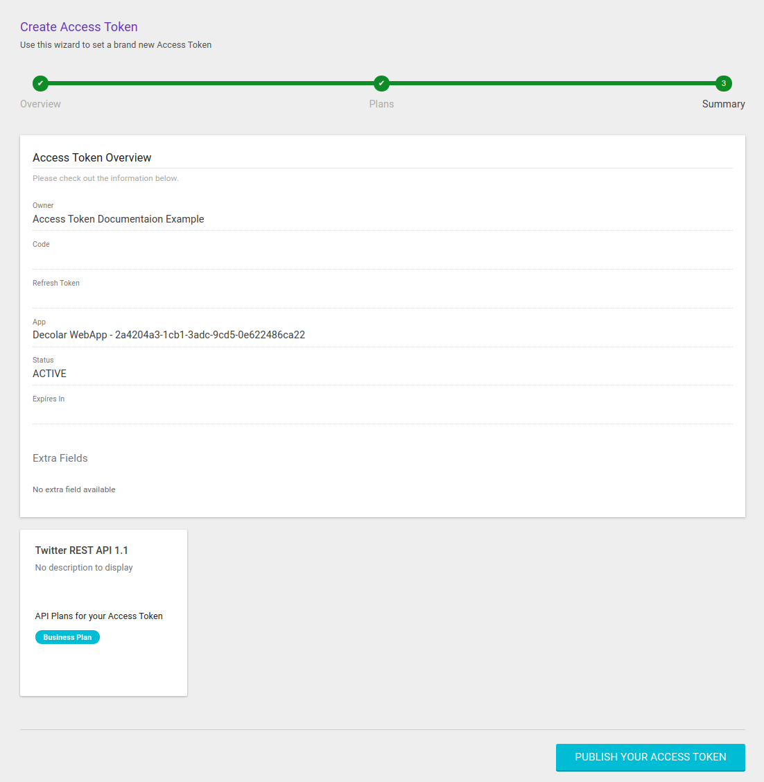 access token summary