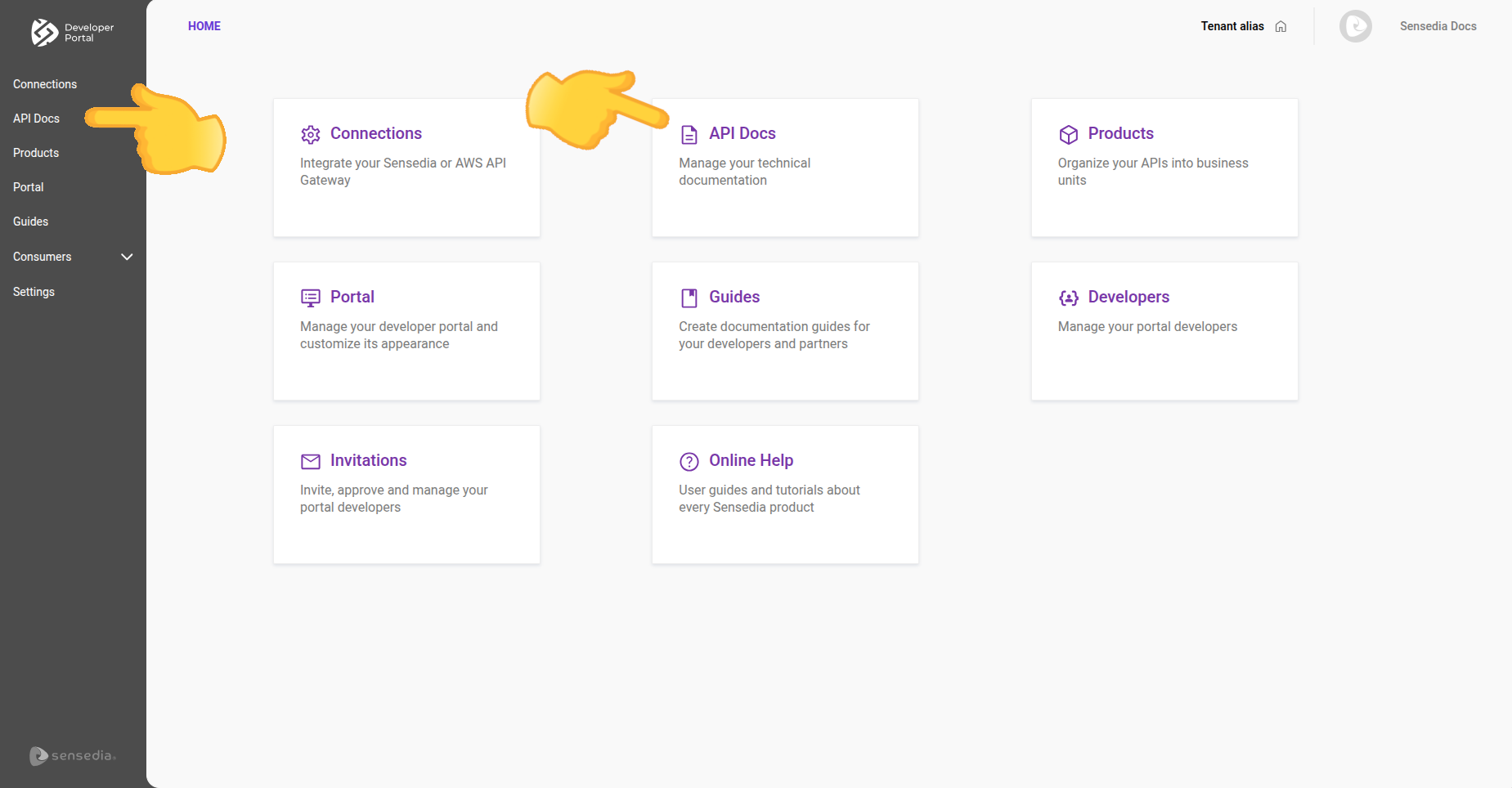 home screen with api docs highlighted