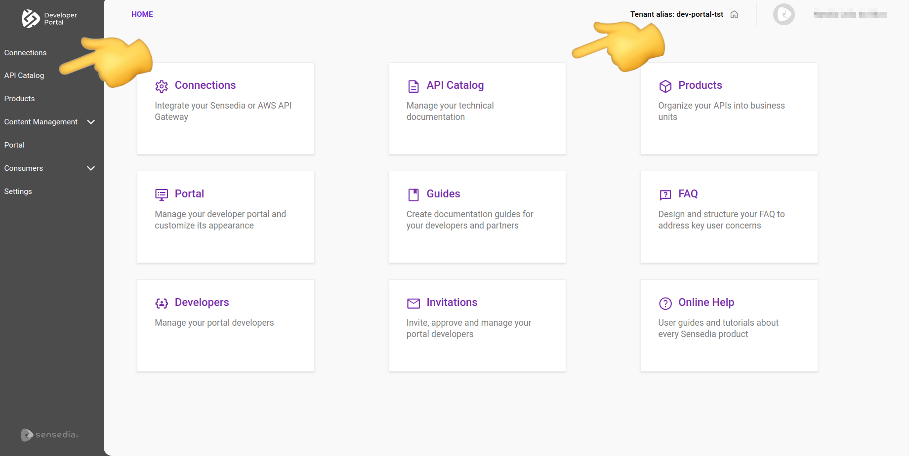 access to API Catalog