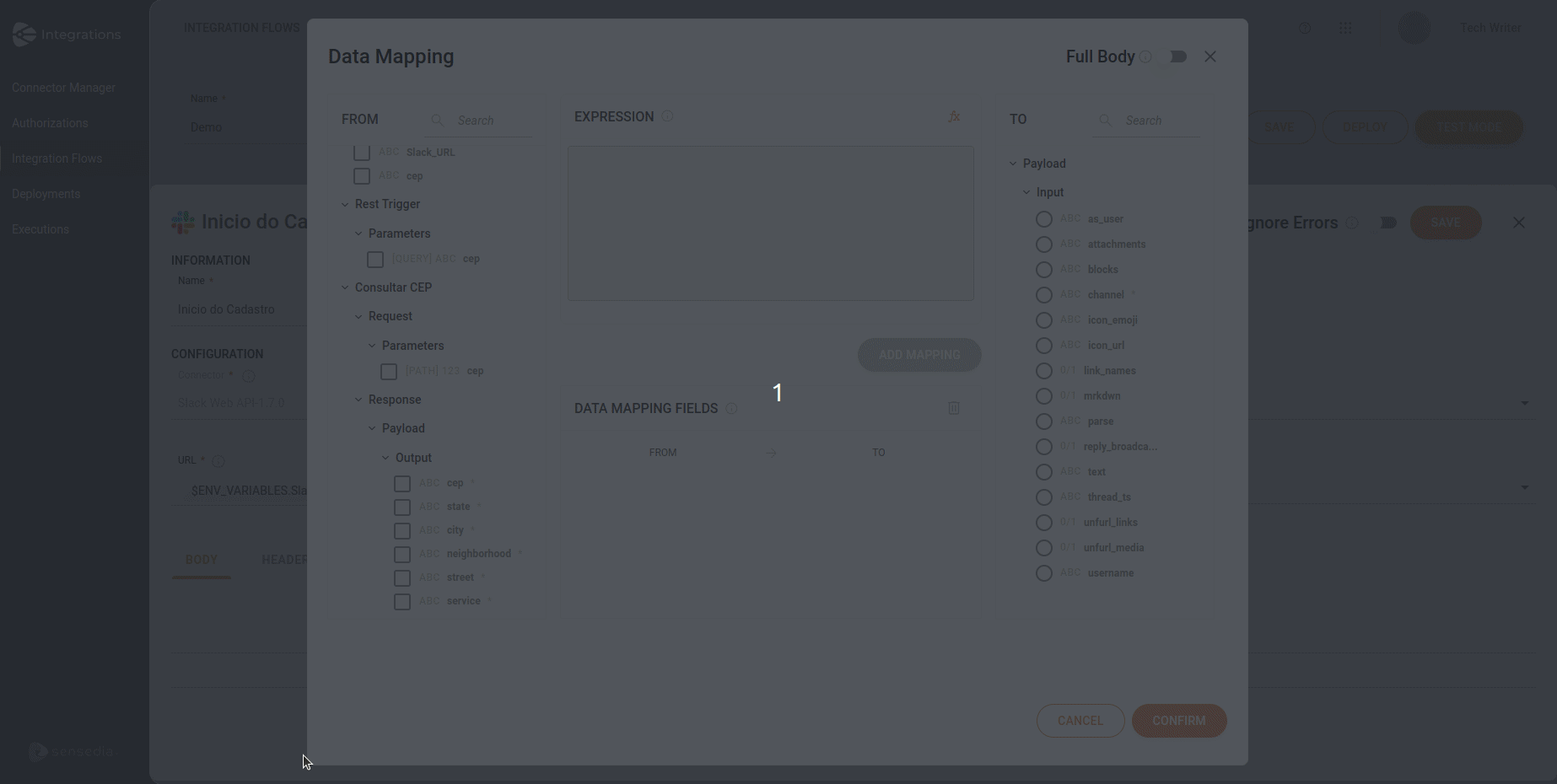 data mapping 1 to 1