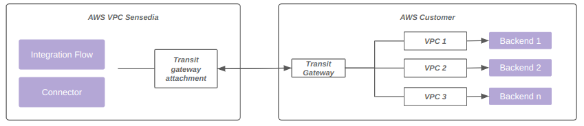 infra connectivity transit gateway