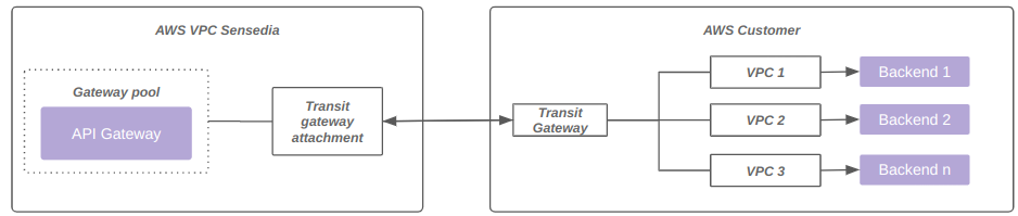 transit gateway